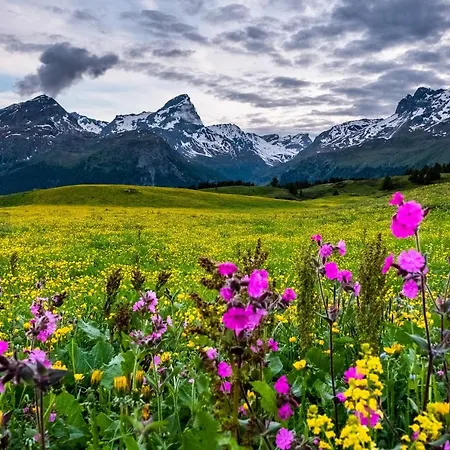 מלון Grischuna 3*